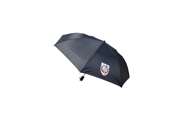 Parapluie Bleu 2025